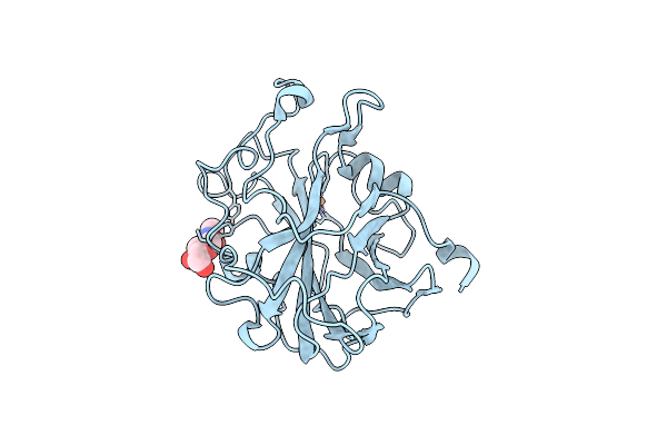 7PXT image