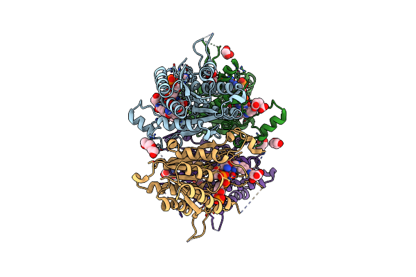 7PXX image