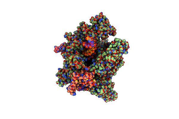 7PY8 image