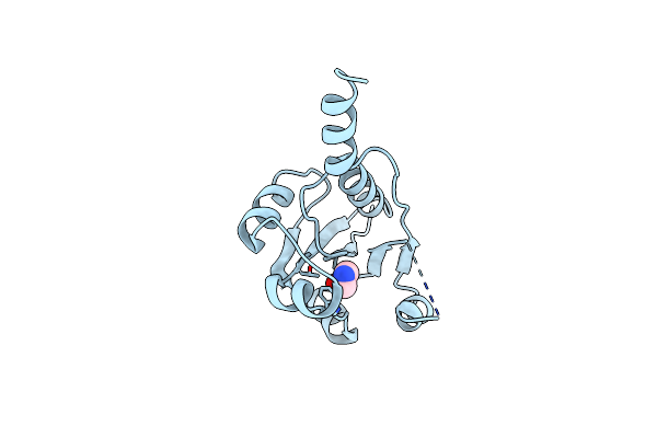 7PYA image