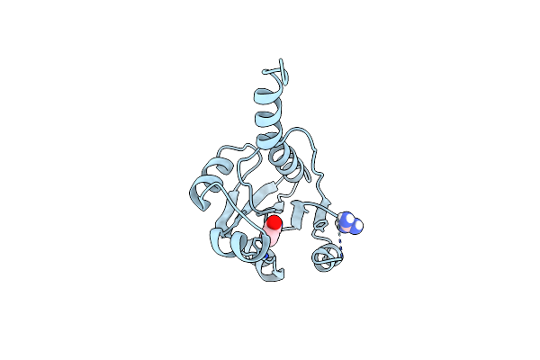 7PYB image