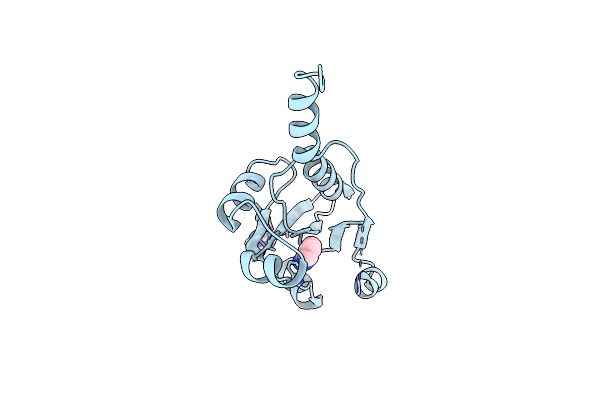 7PYC image