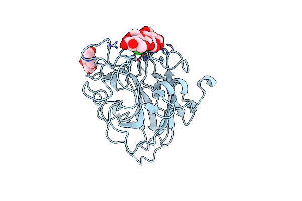 7PYE image