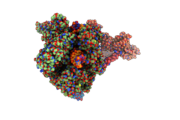 7PYJ image