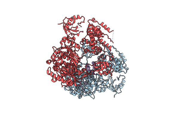 7PYV image