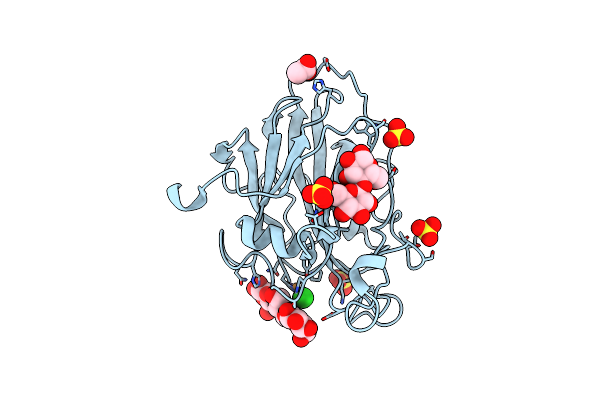 7PYW image
