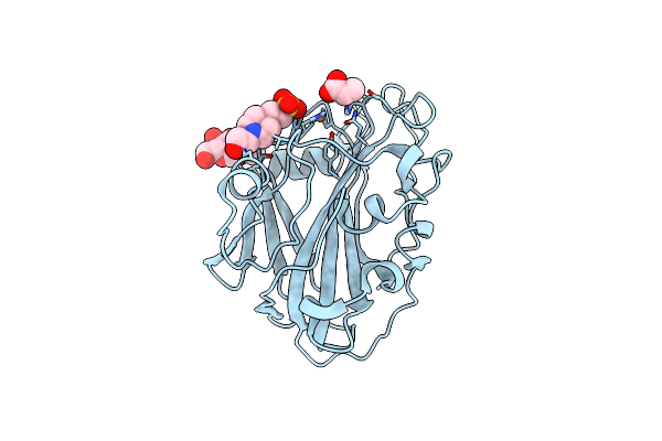 7PZ6 image