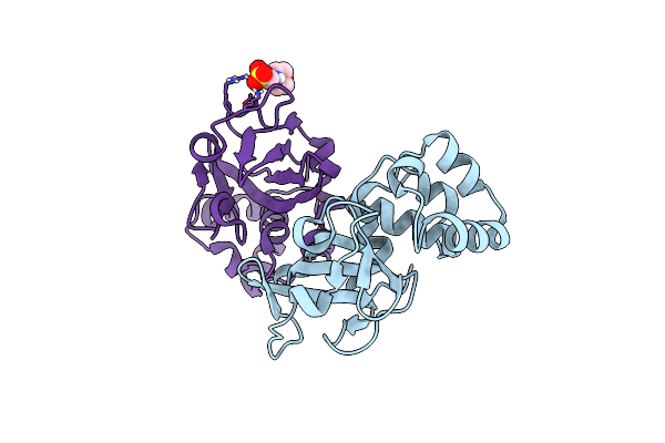7PZT image