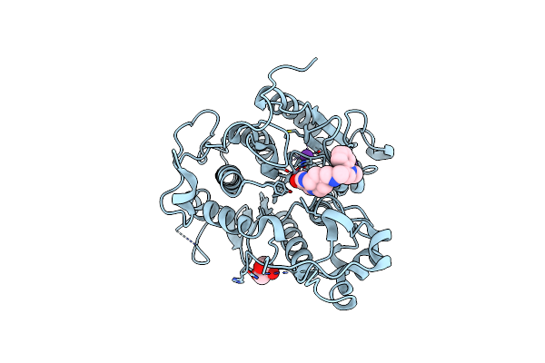 7Q1B image