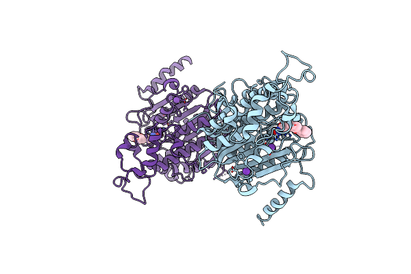 7Q1C image
