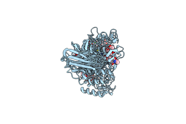 7Q1W image