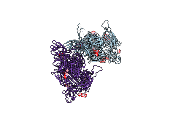 7Q1Y image