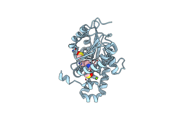 7Q2B image