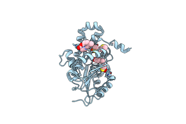 7Q2C image