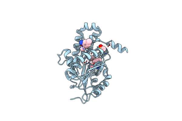 7Q2D image
