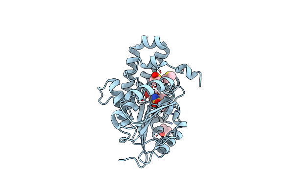 7Q2H image