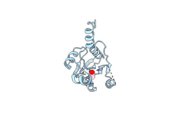 7Q2K image
