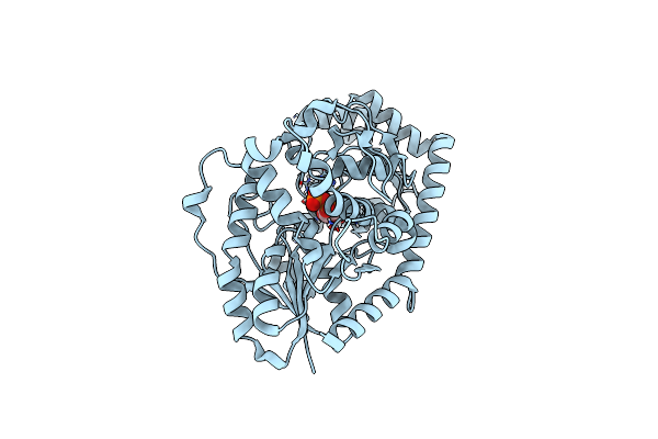 7Q3S image