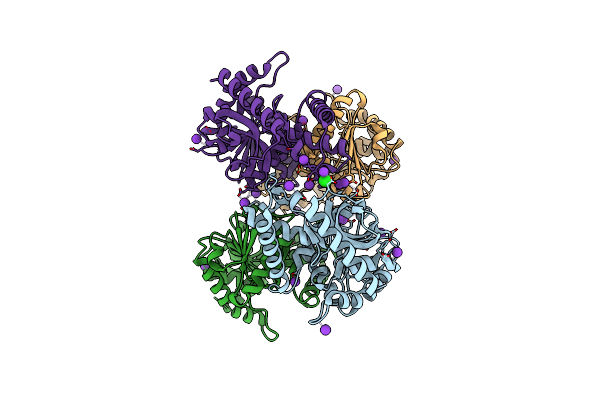 7Q3X image