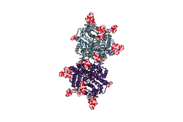 7Q4D image