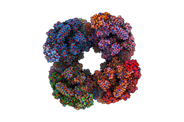 7Q4U image