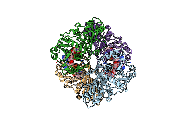 7Q53 image