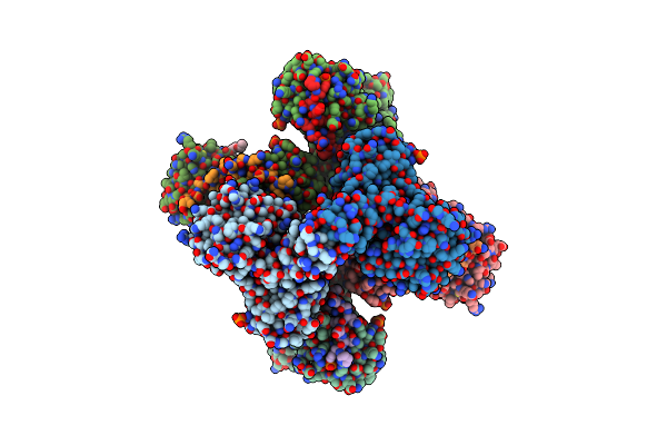 7Q5W image