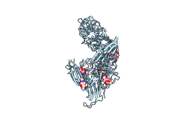 7Q61 image