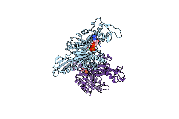 7Q6F image