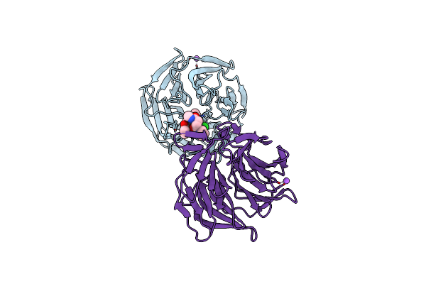 7Q6Q image