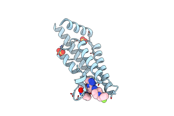 7Q6T image