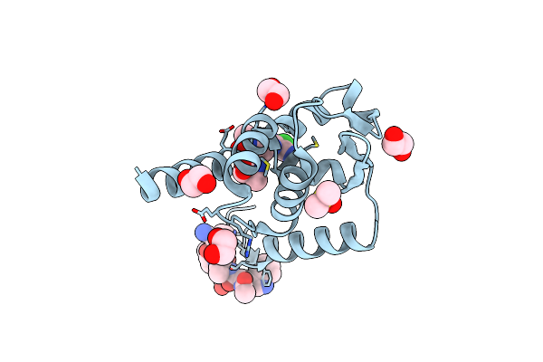 7Q7T image