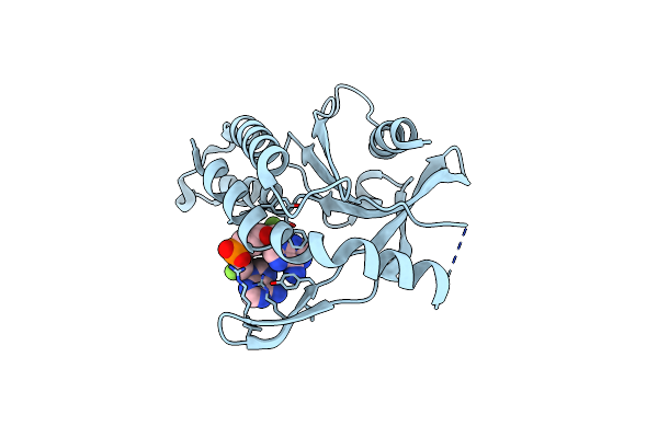 7Q85 image