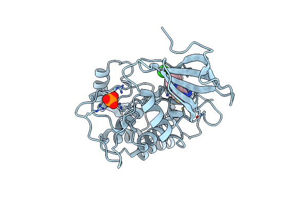 7Q8V image