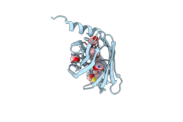 7Q9Q image