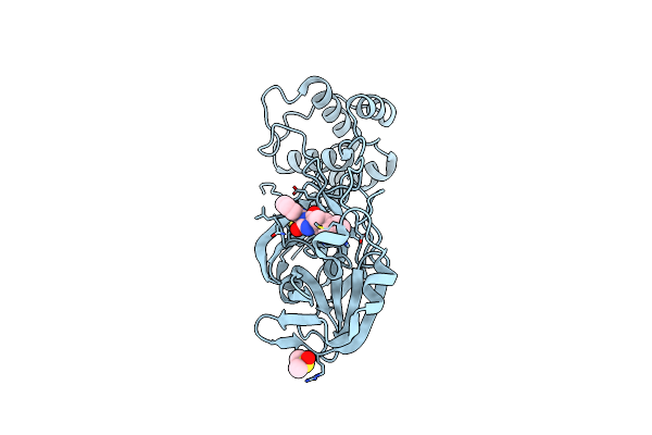 7QBB image