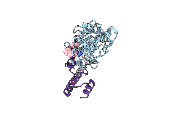 7QBM image