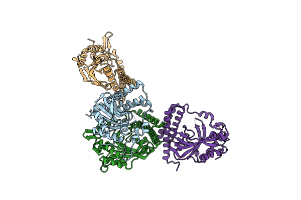 7QCF image