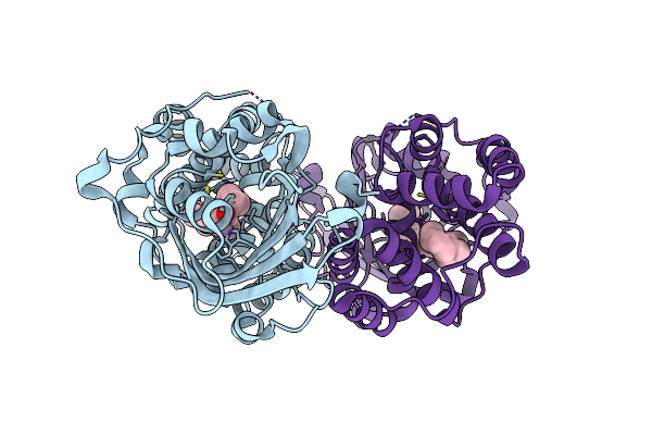 7QD1 image