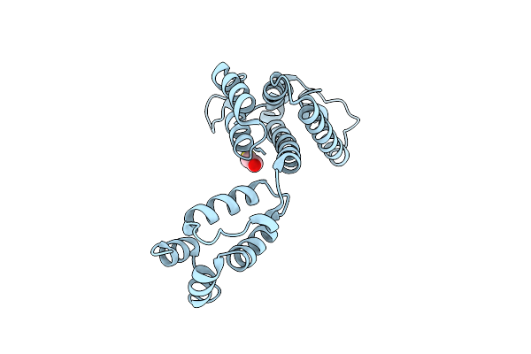 7QDF image