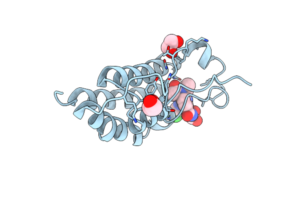 7QDL image
