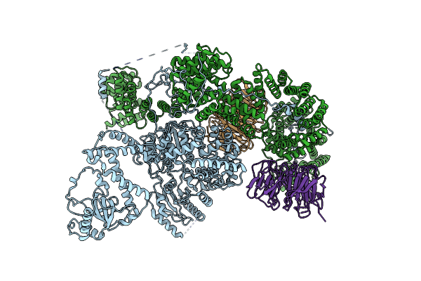 7QDR image