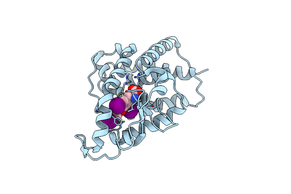7QDT image