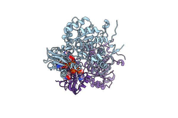 7QDX image