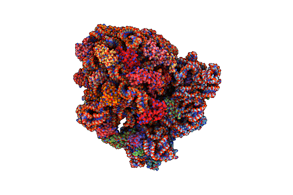 7QGN image