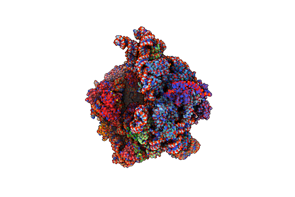 7QGR image
