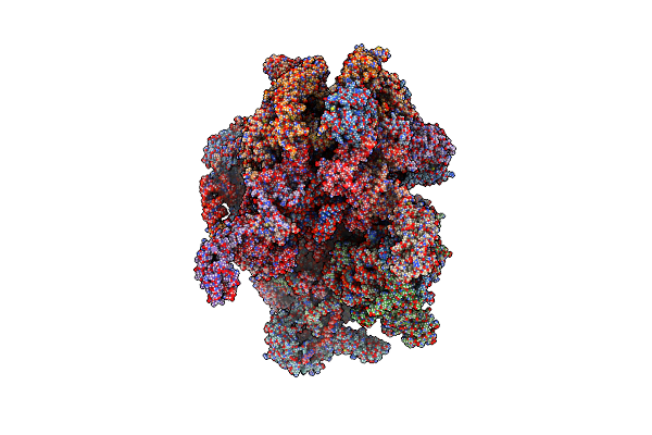 7QI6 image
