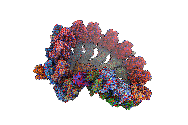 7QJD image