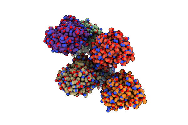 7QLP image