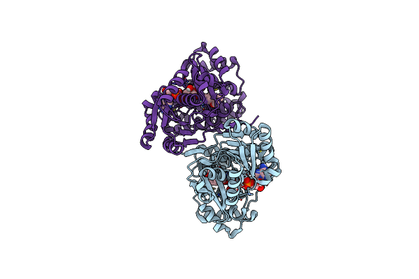 7QLS image